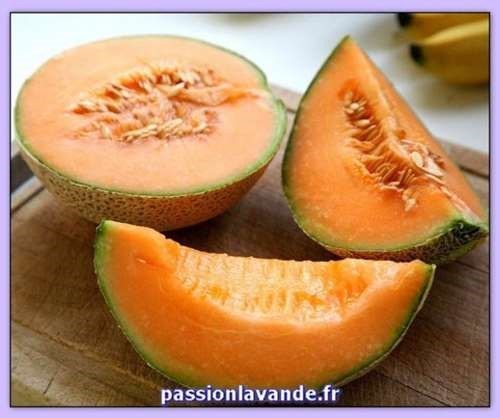 Cavaillon Le Pays Du Melon