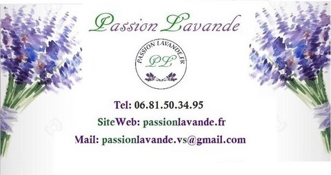 carte-viste-contact-passionlavande