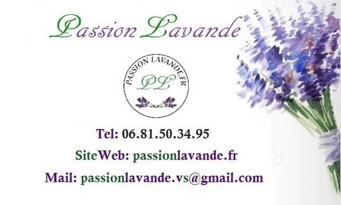 carte-de-visite-Passionlavande