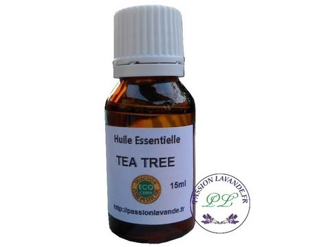 huile-essentielle-arbre-a-the-tea-tree-Bio