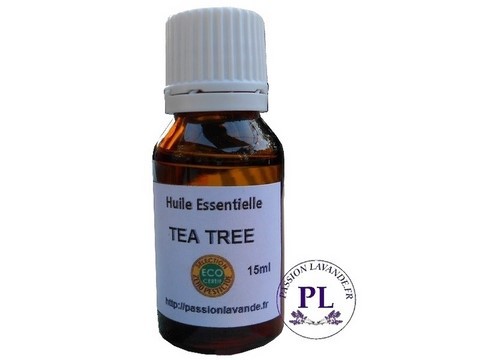 huile-essentielle-arbre-a-the-tea-tree-Bio