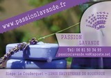 Passion-Lavande